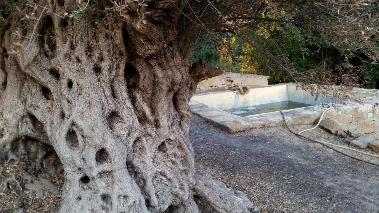 La Villa Di Minerva Agrigento Exterior foto