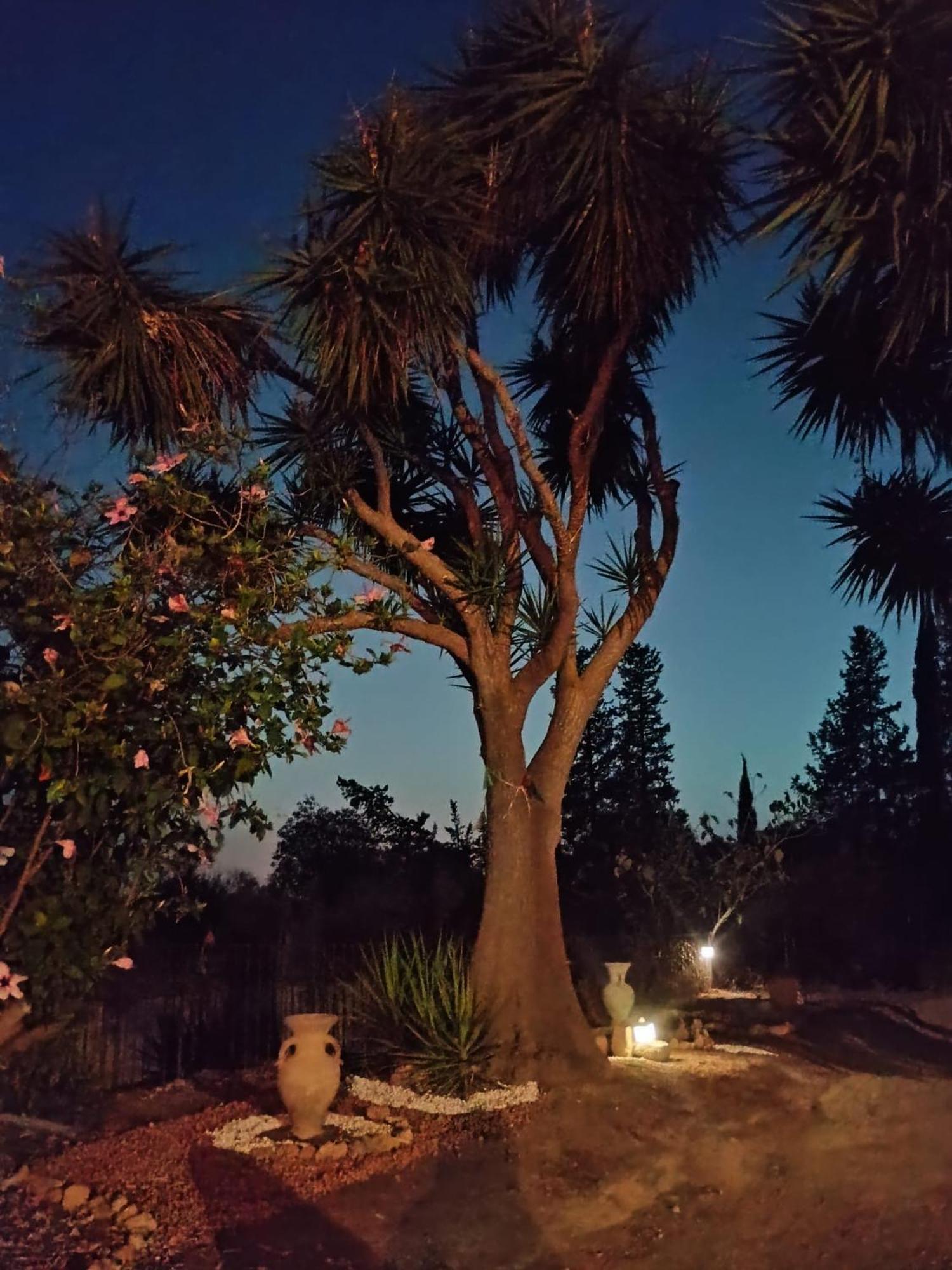 La Villa Di Minerva Agrigento Exterior foto